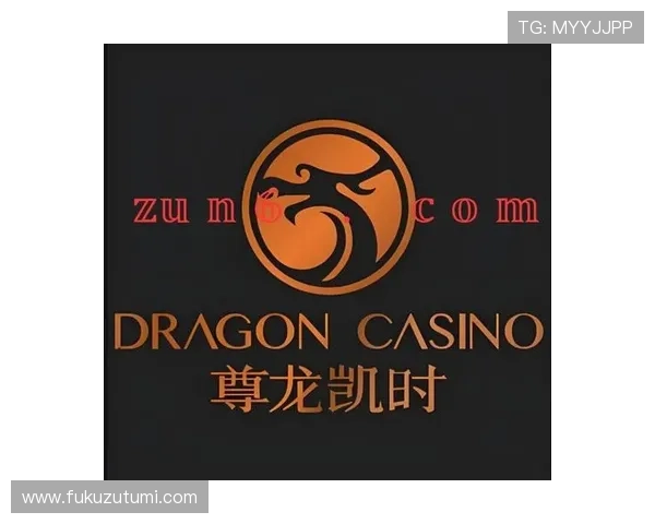 尊龙凯时完美体育网站登录界面优化提升用户界面体验感受更佳