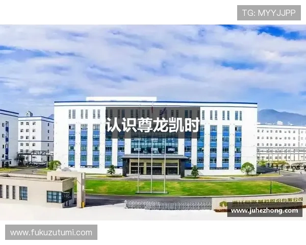 尊龙凯时认识就是博：尊龙凯时的技术创新与未来发展方向探讨