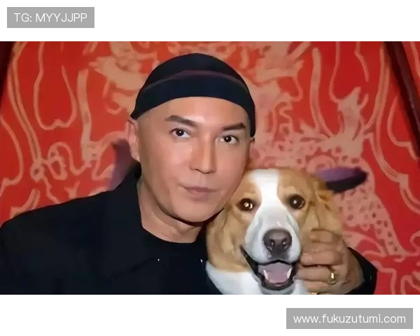 尊龙app：用户评价与口碑分析，选择尊龙app的理由有哪些