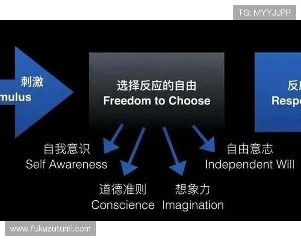 尊龙人生就是搏:打造个人品牌,提升人生影响力的实用方法与经验分享